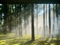-玉苍山国家森林公园