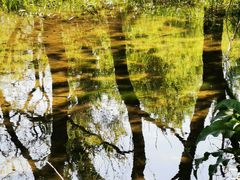 -永定河休闲森林公园