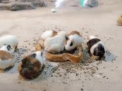 -苏州海洋馆