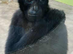 -石家庄市动物园