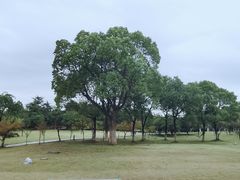 -白塘生态植物园