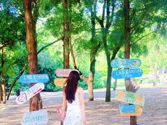 -玫瑰海岸文化旅游度假区