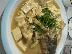 -煲来饱去冷水鱼