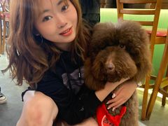 -more than meow吴止猫主题餐厅(承德 中船汇店)