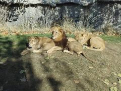 -北京野生动物园