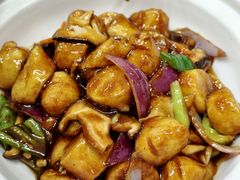 -老码头黑皮肘子锅包肉(文政街店)
