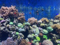 -珠海长隆海洋王国