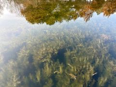 -同里国家湿地公园