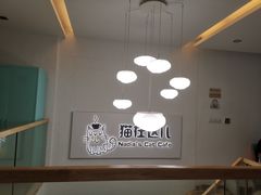 -猫在这儿猫咪咖啡馆·撸猫馆