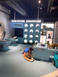 -MINI MARS KIDS CLUB亲子家庭中心(长宁天山店)