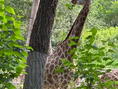 -北京野生动物园
