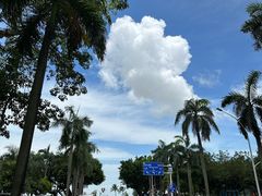 -隆都四季香饭店(碧海路店)