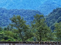 -峨眉山风景名胜区