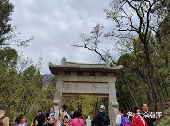 本来是打算从红门步行上山的，不过经过一番周折