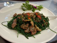 -杨记新泉美食