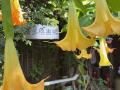 -斯多格书乡(北京大学畅春园店)