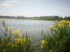 -东郊湿地公园