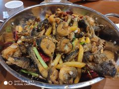 干锅牛蛙-馋嘴蛙火锅