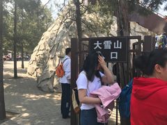 -5Cake五度无蔗糖低脂蛋糕(陶然亭店)