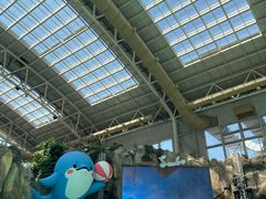 -杭州开元森泊度假乐园