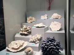-天津自然博物馆