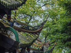 -青城山