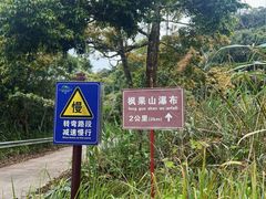 -海南热带雨林国家公园吊罗山景区