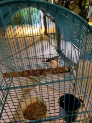 -酷嗒动物文化乐园(cutezoo西溪乐天城店)