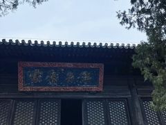 -北京鹫峰国家森林公园