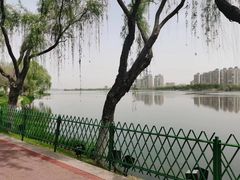 -金银湖国家城市湿地公园