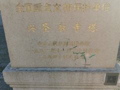 -上海方塔园