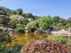 -北京西山国家森林公园