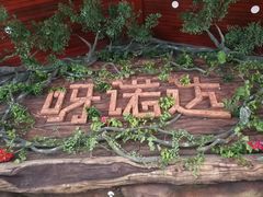 -呀诺达热带雨林