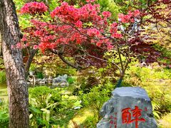 -上海醉白池公园