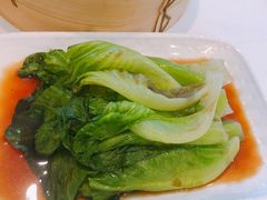 白灼生菜-西苑半岛·中餐厅