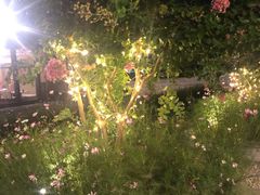 -希尔顿逸林酒店·中餐厅