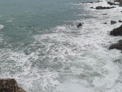 -杨梅坑