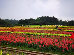 -保利石象湖景区
