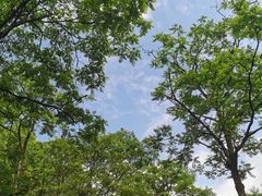 -西岭雪山大飞水景区