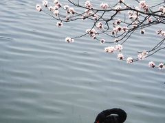 -颐和园