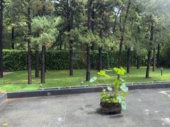 -曲水兰亭(北京四惠店)