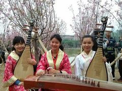 -天适樱花悠乐园