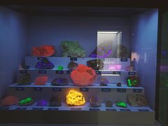 -湖南省地质博物馆