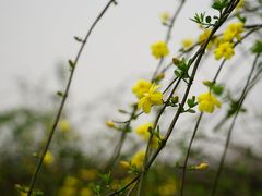 -重庆中央公园(渝北区)