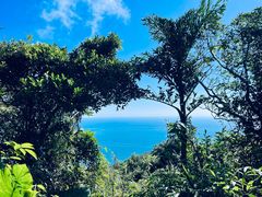 -海南铜鼓岭景区