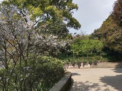 -南山植物园