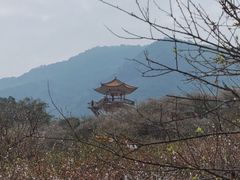 -广州市流溪河国家森林公园