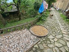 -杨家堂村