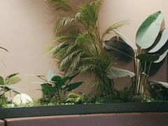 -奈雪的茶(广州万菱汇PRO店)