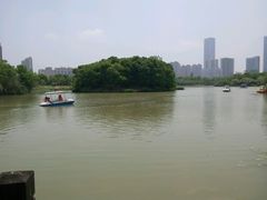 android_upload_pic-艾溪湖湿地公园